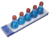 RO5 ��Ч5�c����������